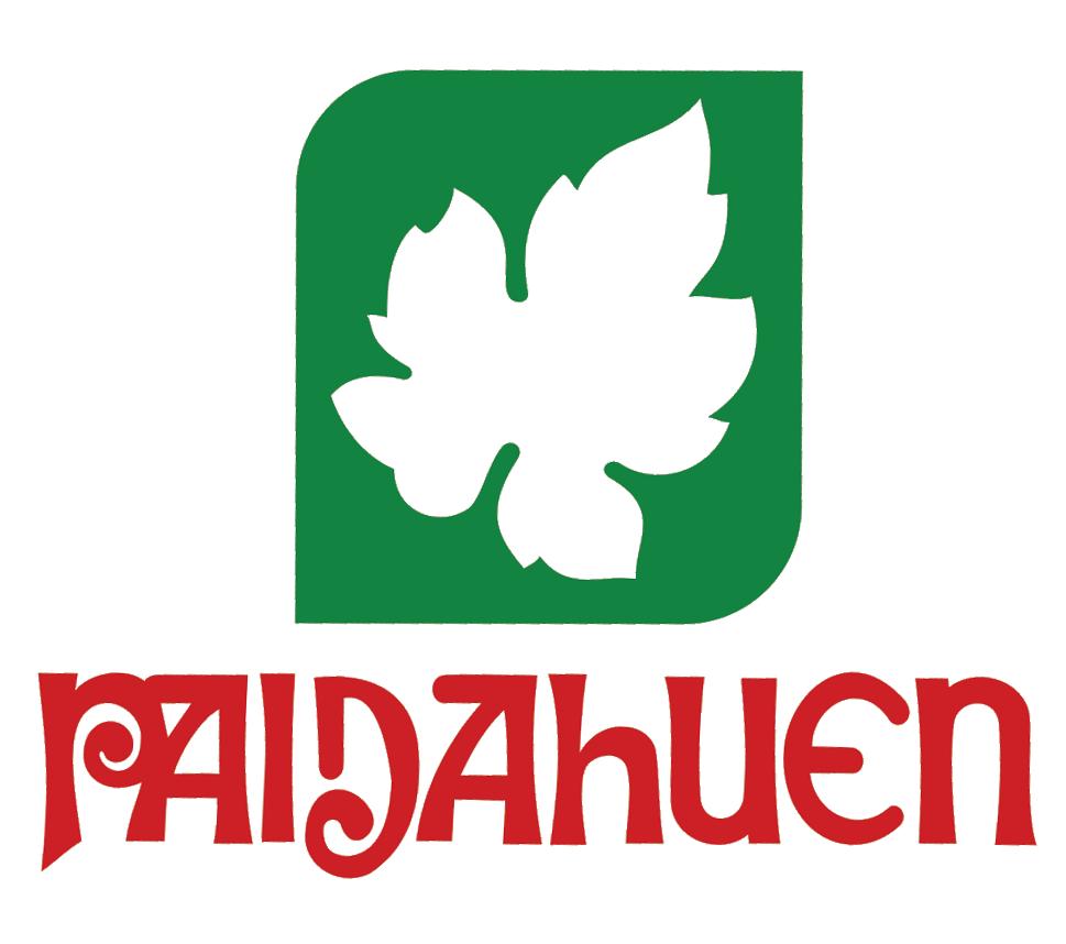 Paidahuen